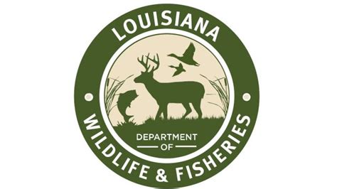 Department of wildlife and fisheries baton rouge la - Trey Iles Baton Rouge. The Louisiana Department of Wildlife and Fisheries (LDWF) will conduct alligator lottery harvests on 21 LDWF Wildlife Management Areas (WMAs), 28 public lakes and one U.S. Army Corp of Engineers (USACE) property Aug. 30-Nov. 4, 2023. ... Louisiana Department of Wildlife and …